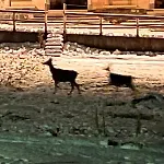Casetta Del Caregon A Vinigo