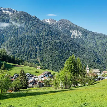Casetta Del Caregon A Vinigo Lejlighed Vodo Cadore